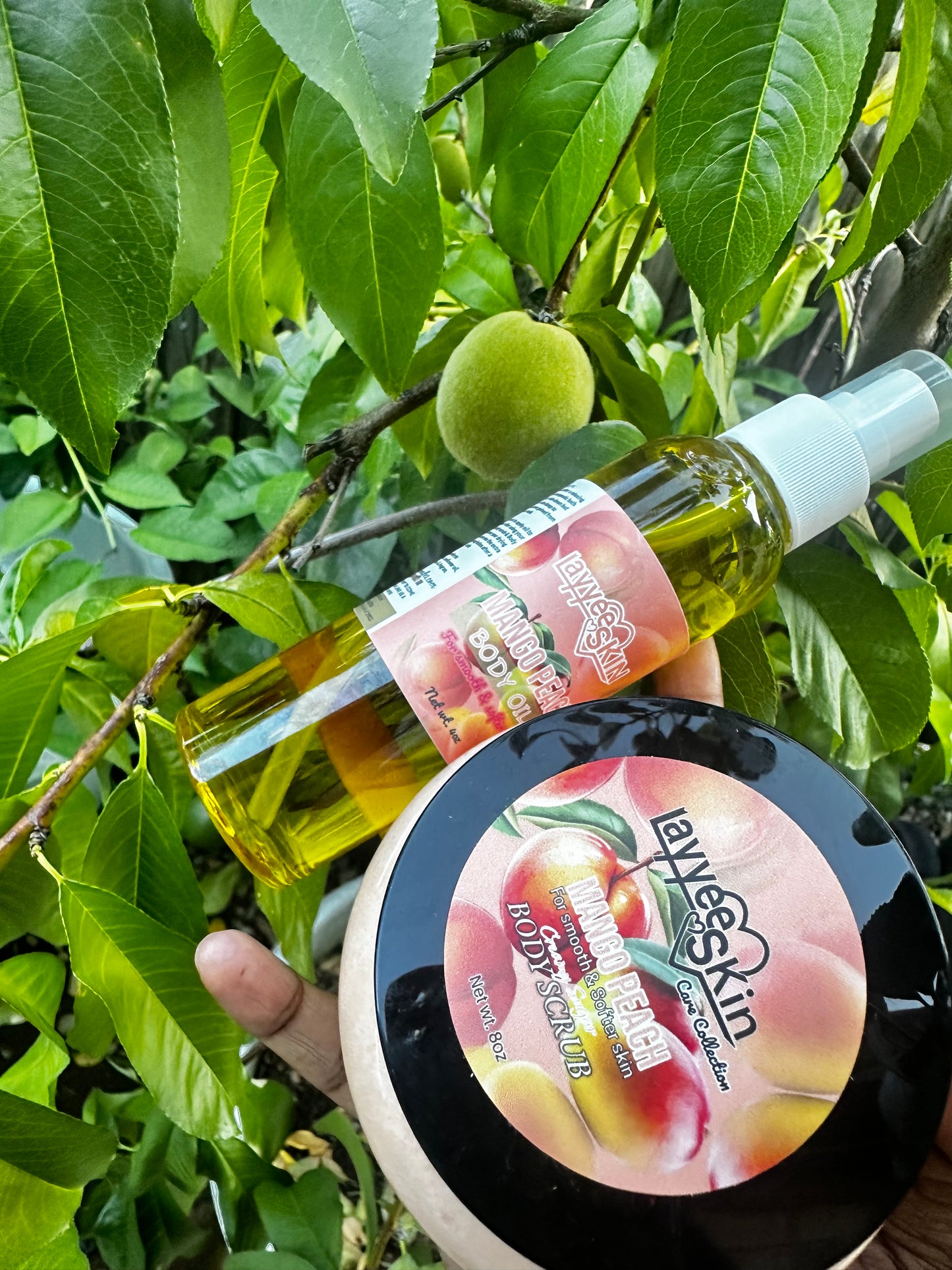 🍑 MANGO ✨PEACH